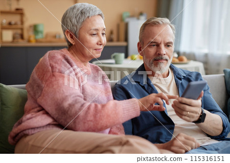 Portrait of senior couple using smartphone together online shopping while sitting on sofa at home Portrait of senior couple using smartphone together online shopping while sitting on sofa at home 115316151