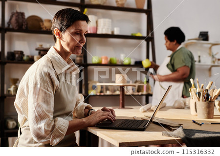 Side view portrait of mature woman using laptop and managing art studio copy space 115316332