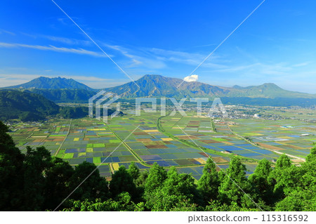 [Kumamoto Prefecture] Mt. Aso on a clear day (The five peaks of Aso: Mt. Nakadake, Mt. Takadake, Mt. Nekodake, Mt. Eboshidake, and Mt. Kishimadake) 115316592