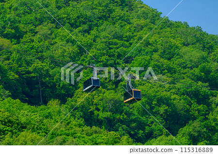 Deep green Mt. Moiwa and the ropeway_2286 Deep green Mt. Moiwa and the ropeway_2286 115316889