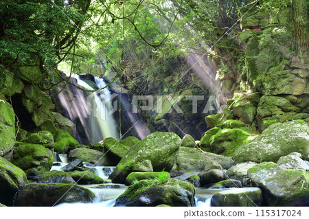 [熊本縣] 夫婦瀑布的光 115317024