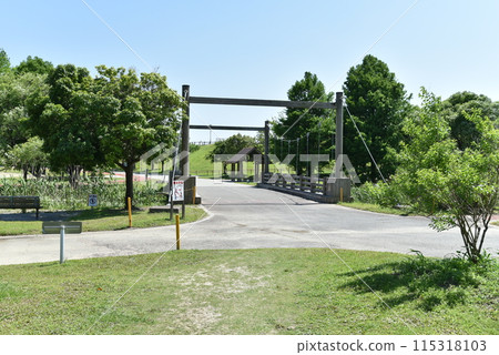 Bridge in the park 115318103