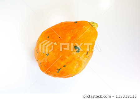 Pumpkin Pumpkin Pumpkin Pumpkin Pumpkin Pumpkin Pumpkin Pumpkin 115318113