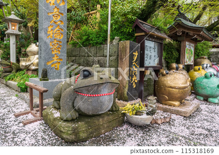 frog rock statue with falling white cherry leaf at Nyoirinji Temple, Ogori 115318169
