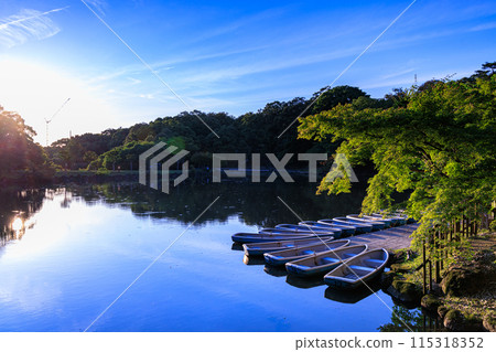 Nara Park Sagiike Pond Evening view of Ukimido Hall - Silhouette of Kofukuji Temple crane and rowboat illuminated by the setting sun② 115318352