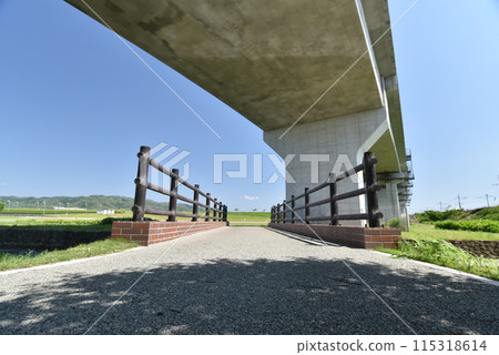 公園奈米橋和高架橋 115318614