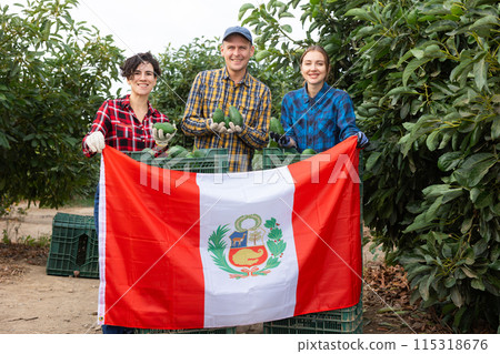 Farmers posing with harvest of lemons and waving the flag of Peruvian in orchard 115318676