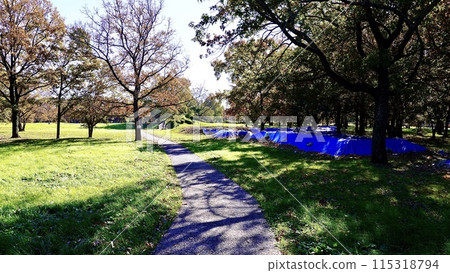 Kasori Shell Mound Park in Wakaba Ward, Chiba Prefecture Kasori Shell Mound Park in Wakaba Ward, Chiba Prefecture 115318794