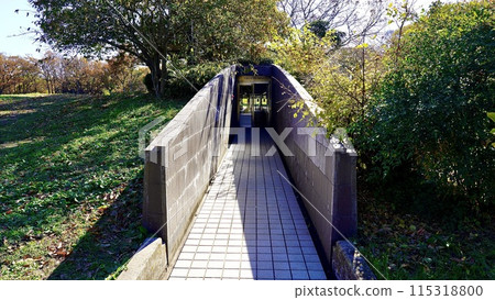 Shell layer cross-section viewing facility at Kasori Shell Mound Park in Wakaba Ward, Chiba Prefecture Shell layer cross-section viewing facility at Kasori Shell Mound Park in Wakaba Ward, Chiba Prefecture 115318800
