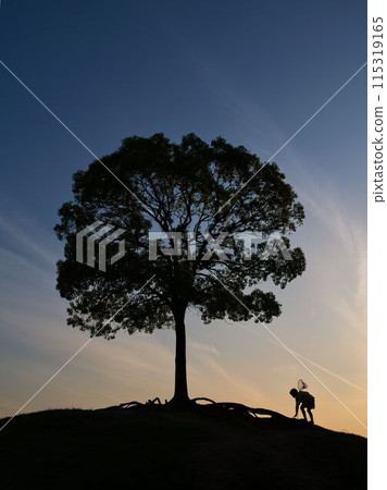 山上日落時的一棵樹和一個捕捉昆蟲的男孩 115319165
