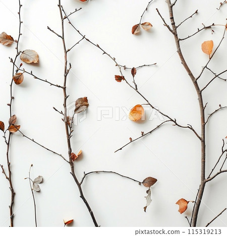 Dry branches and dry leaves on a white background. 115319213