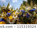Bouquet of wildflowers in summer. High quality photo. Ligo. Latvia 115319324