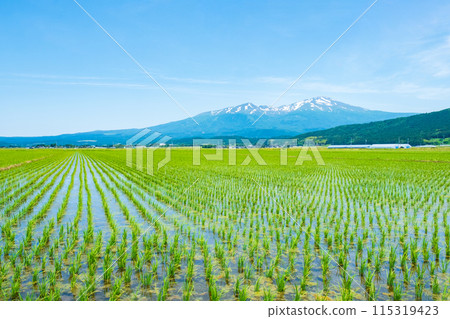 Mount Chokai as seen from Sakata City 115319423
