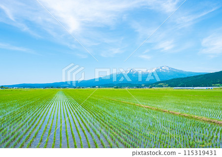 從坂田市眺望鳥海山 115319431