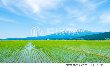 從坂田市眺望鳥海山 115319433