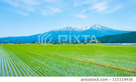 從坂田市眺望鳥海山 115319436