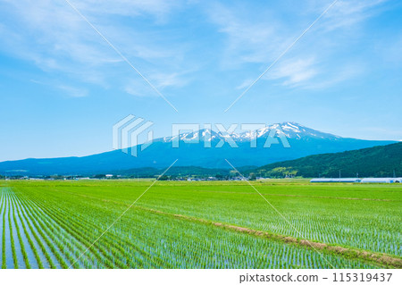 從坂田市眺望鳥海山 115319437