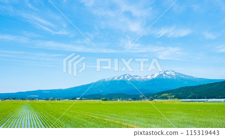 從坂田市眺望鳥海山 115319443