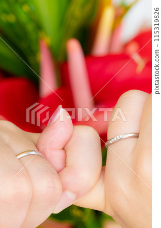 情侶手戴結婚戒指的特寫 115319826