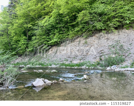 Steep cliff adjacent directly to the river among beautiful greenery and trees. Beautiful landscape 115319827