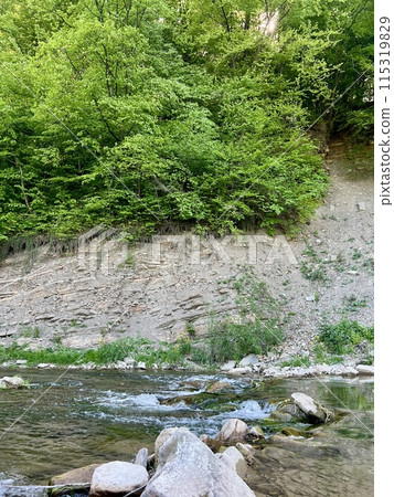 Steep cliff adjacent directly to the river among beautiful greenery and trees. Beautiful landscape Steep cliff adjacent directly to the river among beautiful greenery and trees. Beautiful landscape 115319829