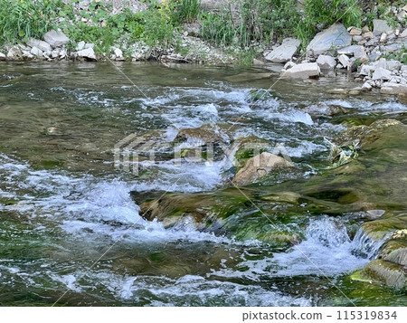 Steep cliff adjacent directly to the river among beautiful greenery and trees. Beautiful landscape 115319834