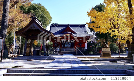 千葉縣市原市秋天的伊岡岡八幡宮 千葉縣市原市秋天的伊岡岡八幡宮 115319964