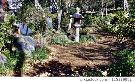 千葉縣市原市秋天的飯岡八幡神社庭院 115319991