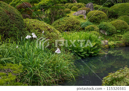 山形鶴舞園池塘風景 115320381