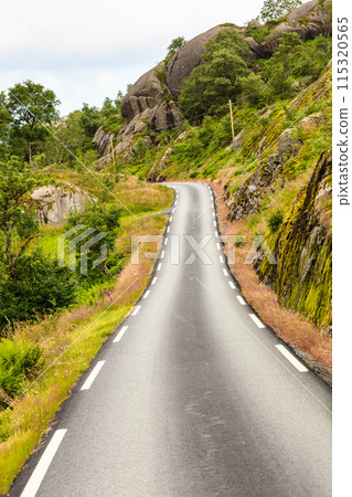 Road landscape in norwegian mountains Road landscape in norwegian mountains 115320565