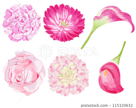 Elegant pink flowers Elegant pink flowers 115320632