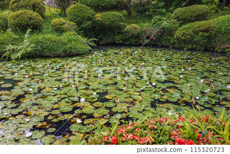 山形鶴舞園水邊夏日景色 115320723
