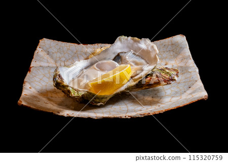 天然岩牡蠣，生牡蠣，細胞，黑色輪廓，俯視圖 115320759