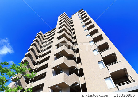 出租公寓和住宅區的形象 115320999