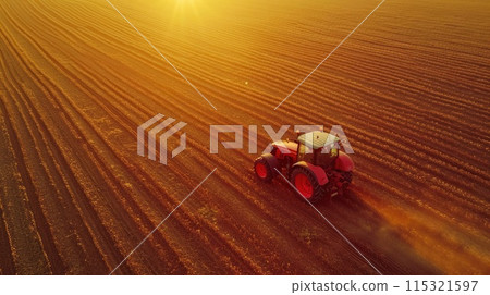 Golden Hour: Aerial View of Tractor on Soybean Plantation 115321597