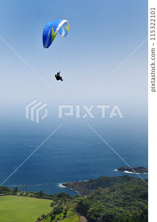 Paragliding along the coast 115322101