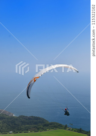 Paragliding along the coast 115322102