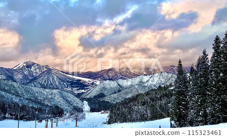 神立滑雪場的雪松森林與雪山 115323461