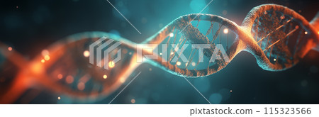 DNA基因螺旋体图片 115323566