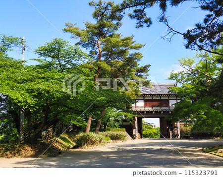 Summer at Senshu Park near the front gate of Kubota Castle, Akita City, Akita Prefecture 115323791