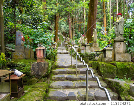 [Nara Prefecture] Hozanji Temple, Ikoma City (photographed on June 4, 2024) 115324271