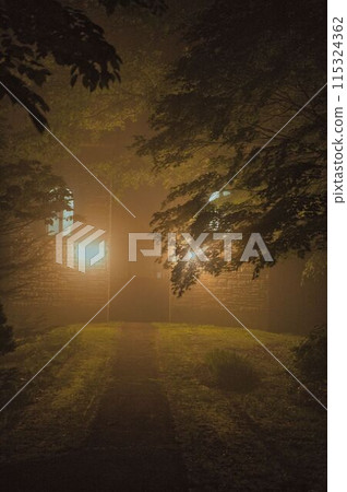 霧森林中的中世紀建築 115324362