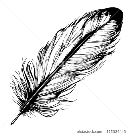 bird feather on white background hand drawn sketch bird feather on white background hand drawn sketch 115324443