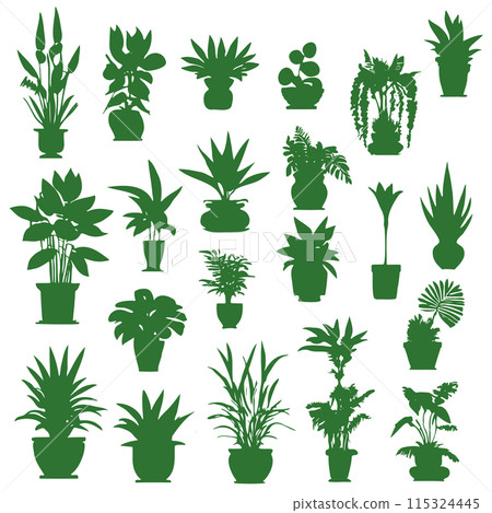 Set different potted houseplants silhouettes. Indoor flowers or plants Set different potted houseplants silhouettes. Indoor flowers or plants 115324445