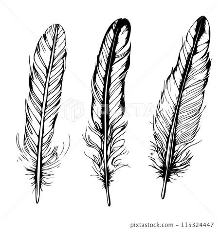 set Hand drawn black fluffy feathers. Vector black and white illustration in sketch form. set Hand drawn black fluffy feathers. Vector black and white illustration in sketch form. 115324447