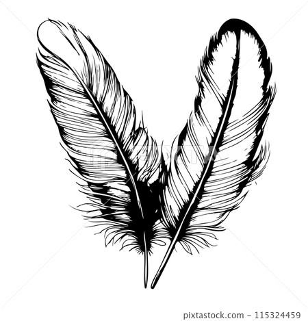 Hand drawn black fluffy feathers. Vector black and white illustration in sketch form. Hand drawn black fluffy feathers. Vector black and white illustration in sketch form. 115324459