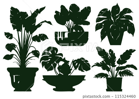 Houseplants. Vector set silhouettes home plants, succulents in pot. Indoor Houseplants. Vector set silhouettes home plants, succulents in pot. Indoor 115324460