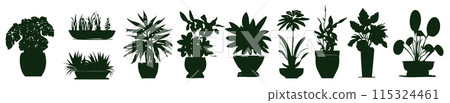 Set different potted houseplants silhouettes. Indoor flowers or plants Set different potted houseplants silhouettes. Indoor flowers or plants 115324461