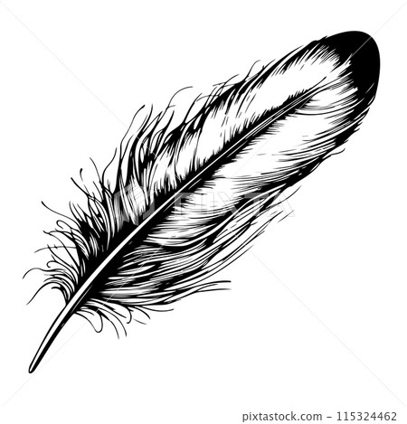 Hand drawn black fluffy feathers. Vector black and white illustration in sketch form. Hand drawn black fluffy feathers. Vector black and white illustration in sketch form. 115324462