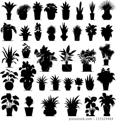 Houseplants. Vector set silhouettes home plants, succulents in pot. Indoor Houseplants. Vector set silhouettes home plants, succulents in pot. Indoor 115324464